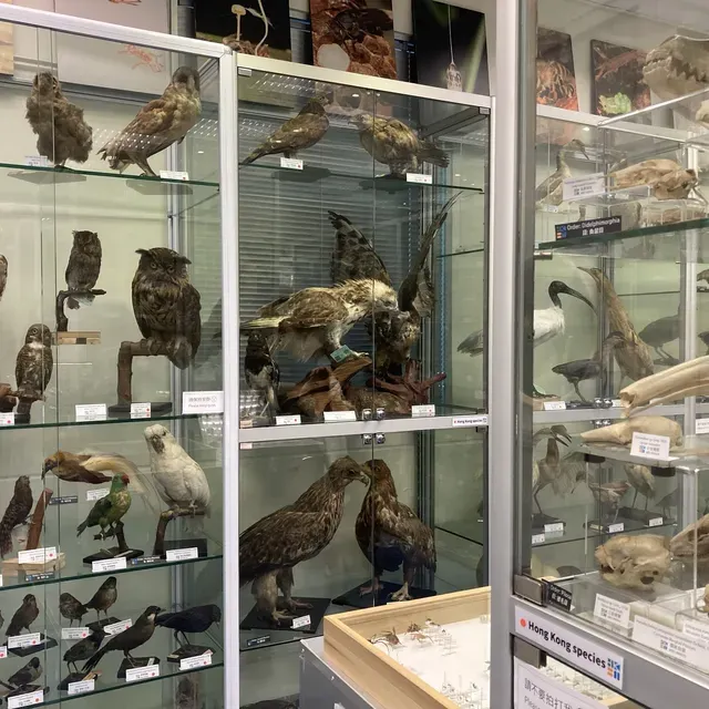 香港博物館 | 香港生物多樣性博物館
