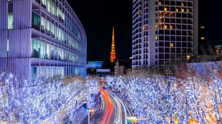 Night View in Tokyo Streets