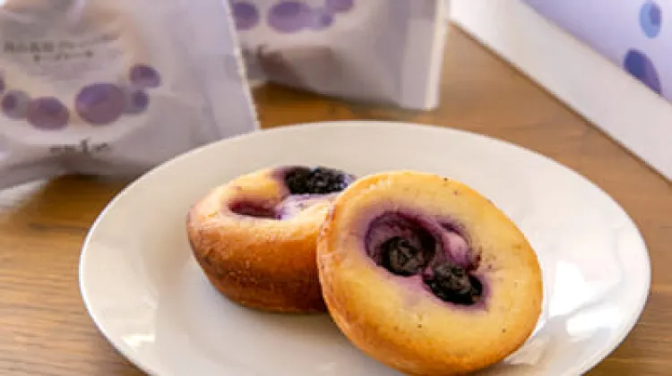 月山高原ブルーベリーチーズケーキ