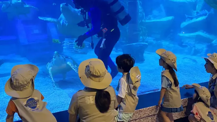 シーライフ釜山アクアリウムで釜山の思い出を作ろう！