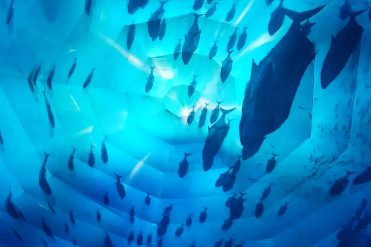 Guangzhou Zoo Animals in Each Area