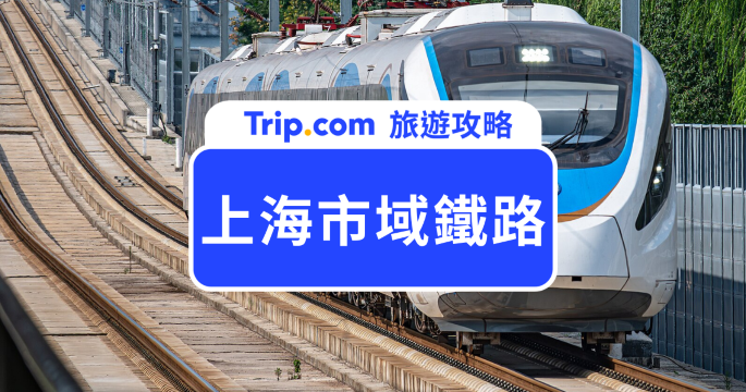 上海市域鐵攻略 2026｜浦東到虹橋 40 分鐘！路線、票價、購票與迪士尼交通