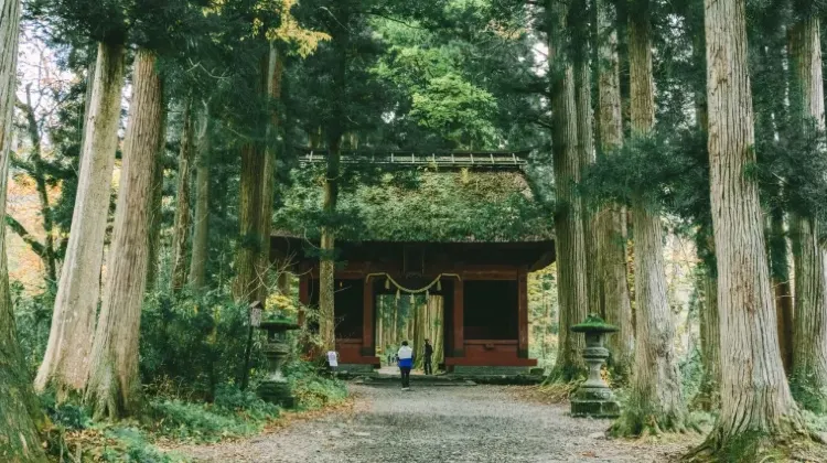 長野のお土産選びでよくある質問
