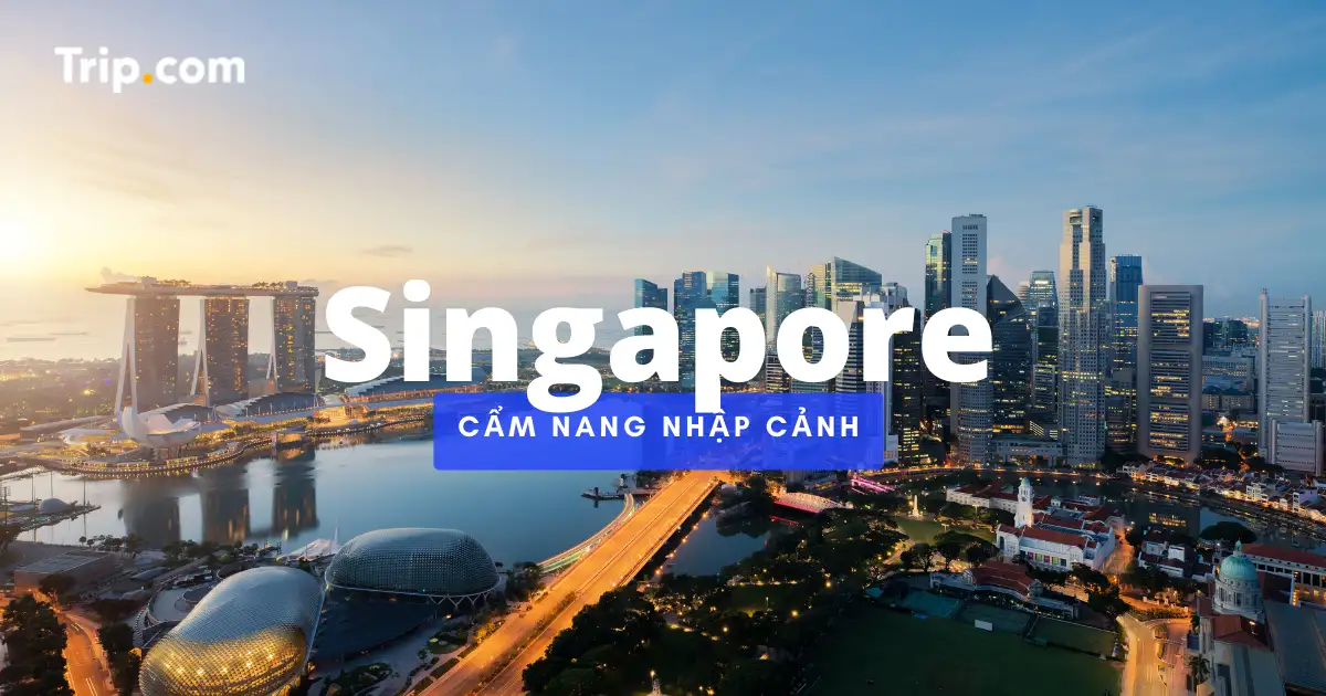 Du lịch Singapore không cách ly: cẩm nang quy định nhập cảnh Singapore 2022  