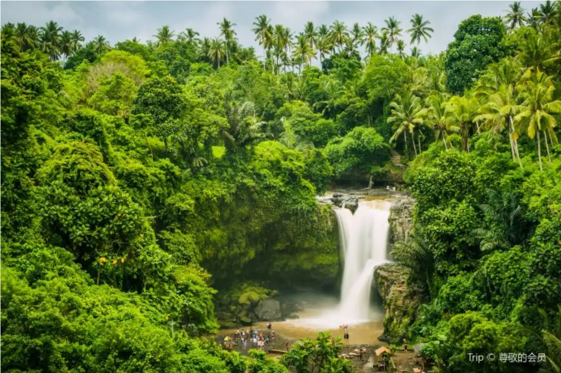 เปิดประเทศ