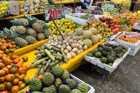 How much does it cost for food when traveling to Mexico