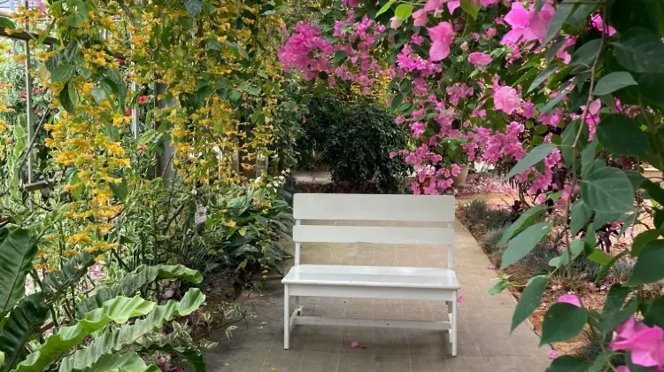 宮古島のお土産選びで気を付けたい3つのこと