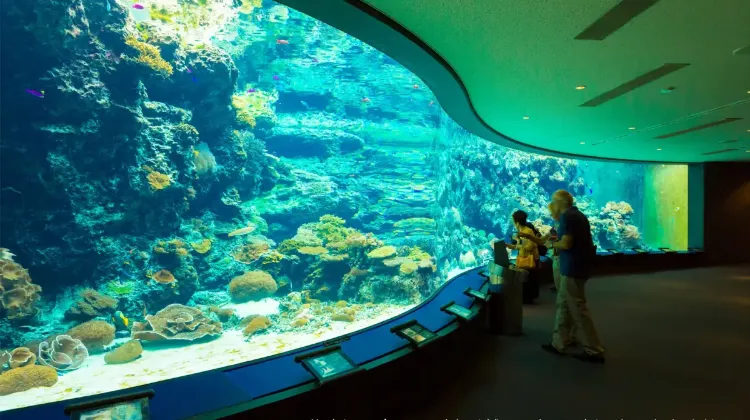 Trip.comで沖縄美ら海水族館のチケットを購入する4つのメリット