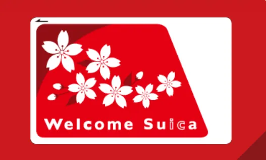 สินค้าที่จำเป็นสำหรับการเดินทางในเขตเมืองเท่านั้น