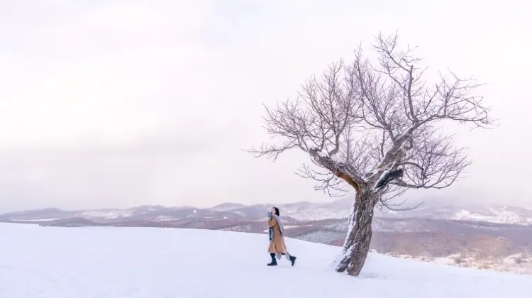 「センスがいい」と言われる小樽お土産の選び方