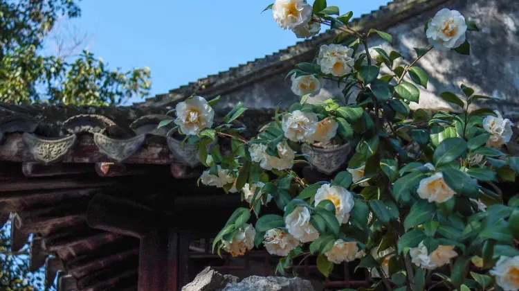 蘇州各鉄道駅の設備・施設事情