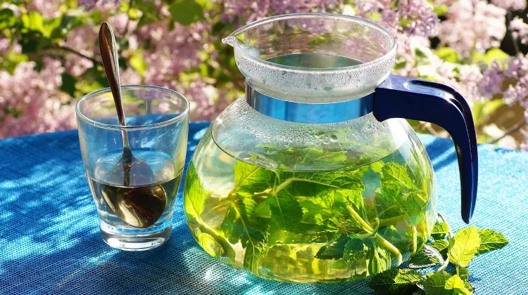 5.ミントティーセット