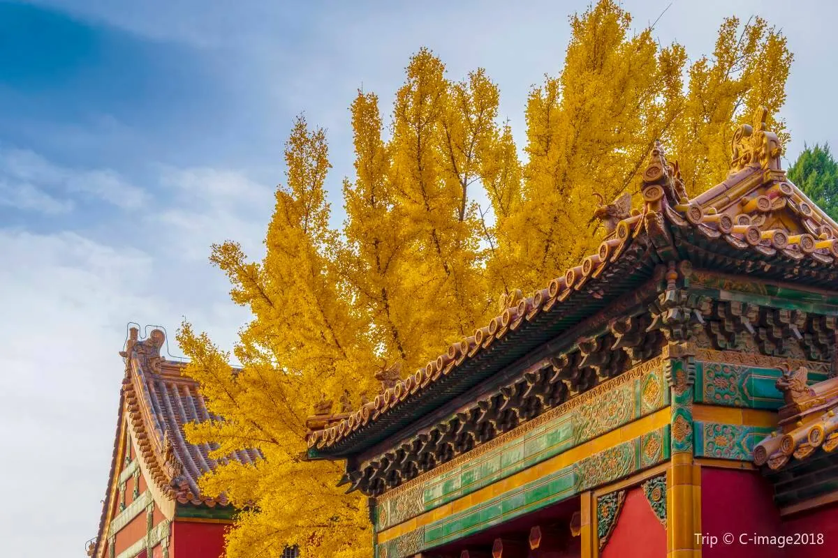 What to See Inside the Forbidden City