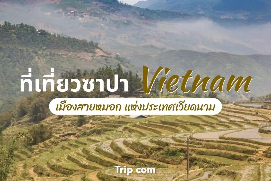 10 ที่เที่ยวซาปา 2569 ที่ต้องไปเยือน | คู่มือเที่ยวเวียดนามเหนือ