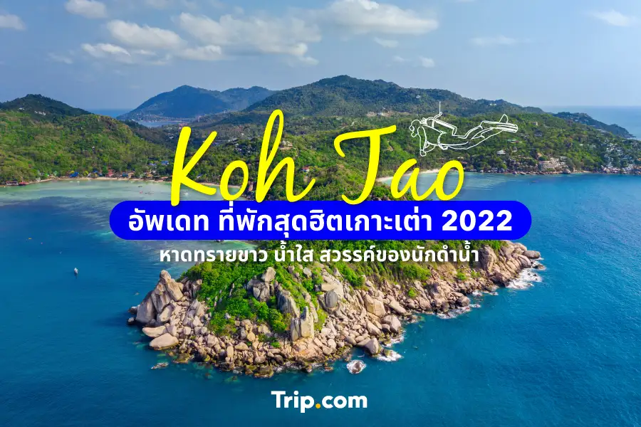 เกาะเต่า