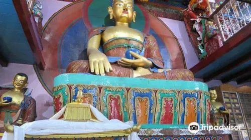 cost for insurance when traveling to Manali