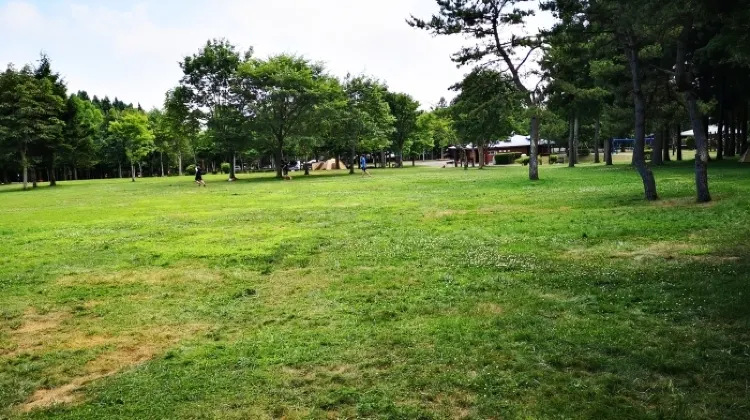 白石公園はこだてオートキャンプ場