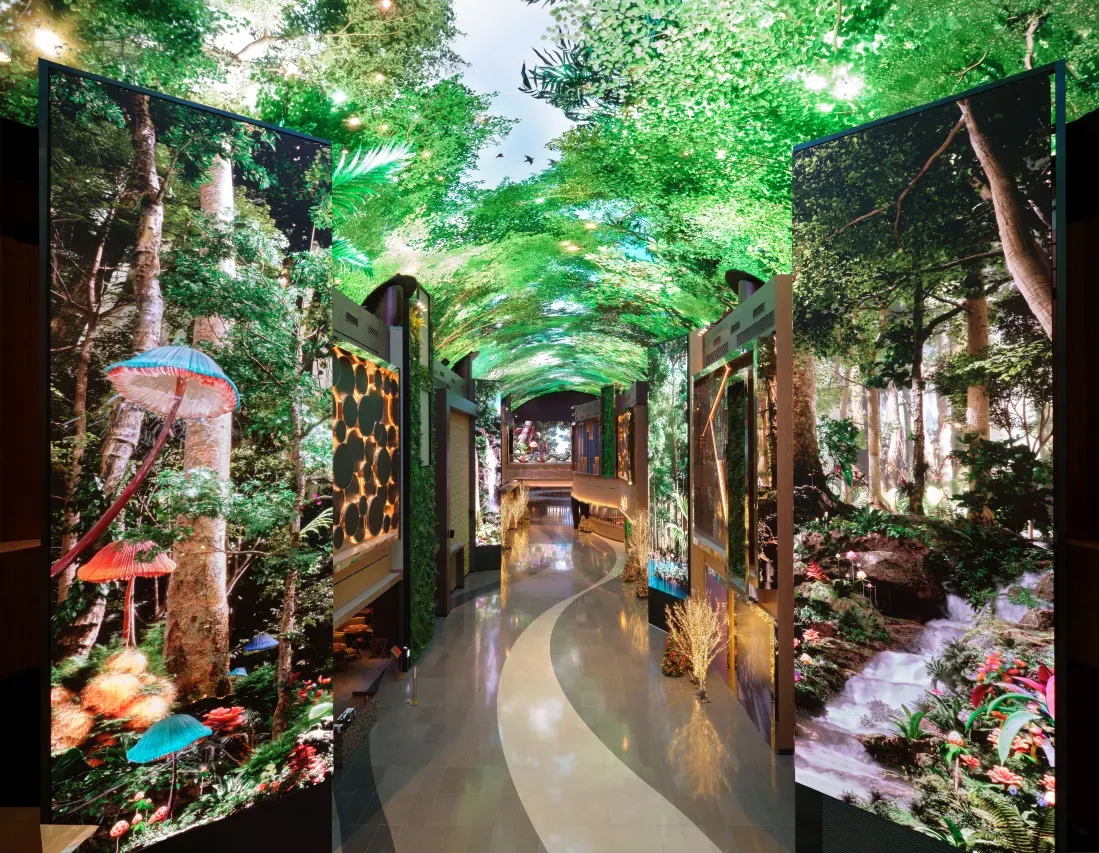 室内を彩るデジタルエンターテインメント