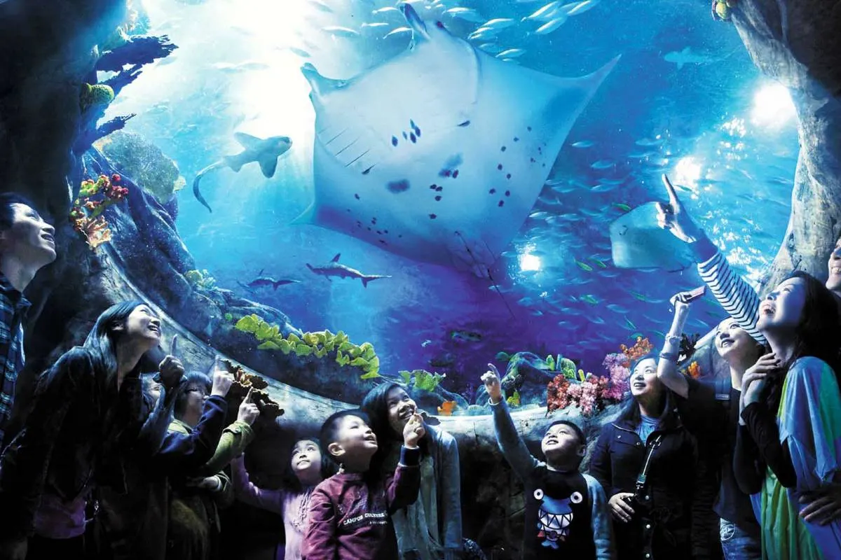 The Peak Season at Ocean Park Hong Kong