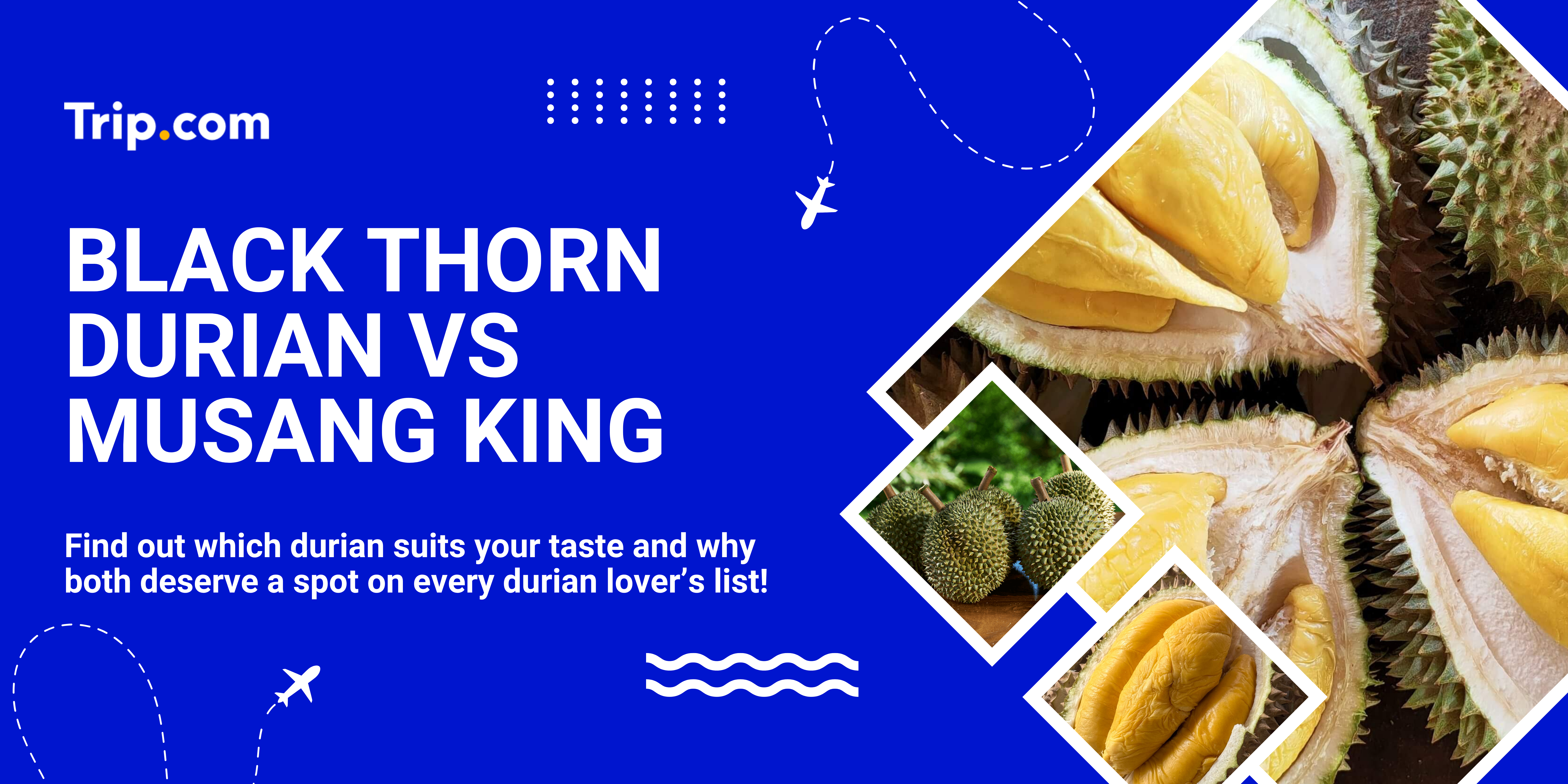 Black Thorn Durian vs Musang King: Which Malaysian Durian Is Better?