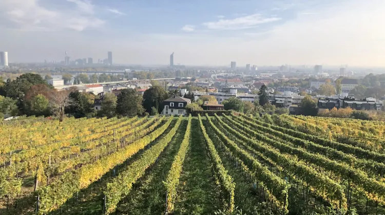 10.オーストリアワイン