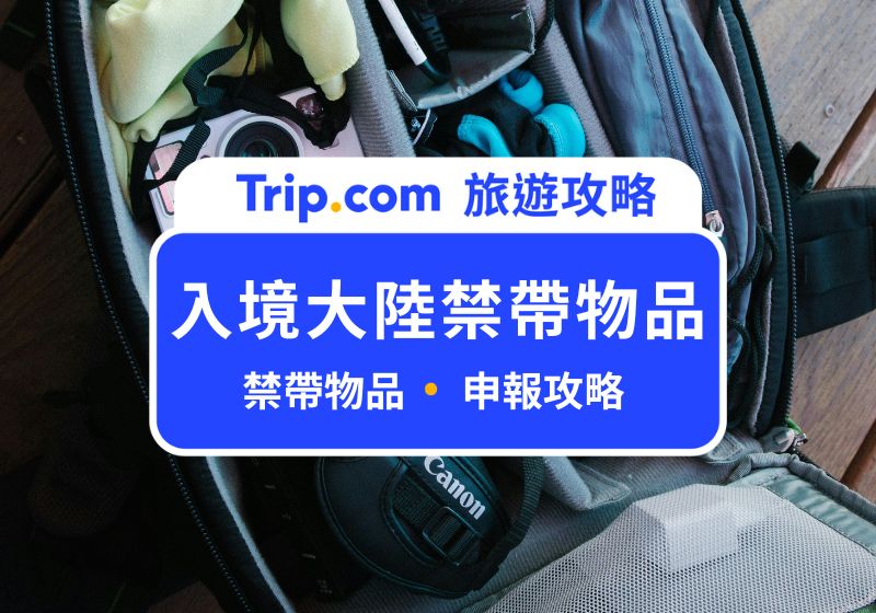 【2026 入境大陸禁帶物品】台灣人必看：鳳梨酥、電子菸能帶嗎？禁帶物品與申報全攻略 | Trip.com