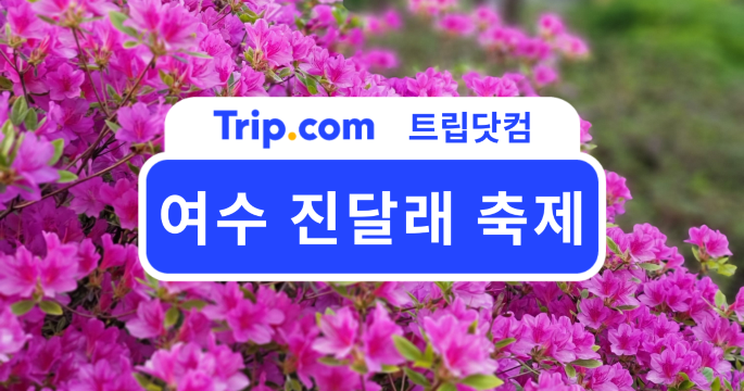 2026 여수 진달래 축제 일정과 호텔 추천까지 한눈에 보기 | 트립닷컴