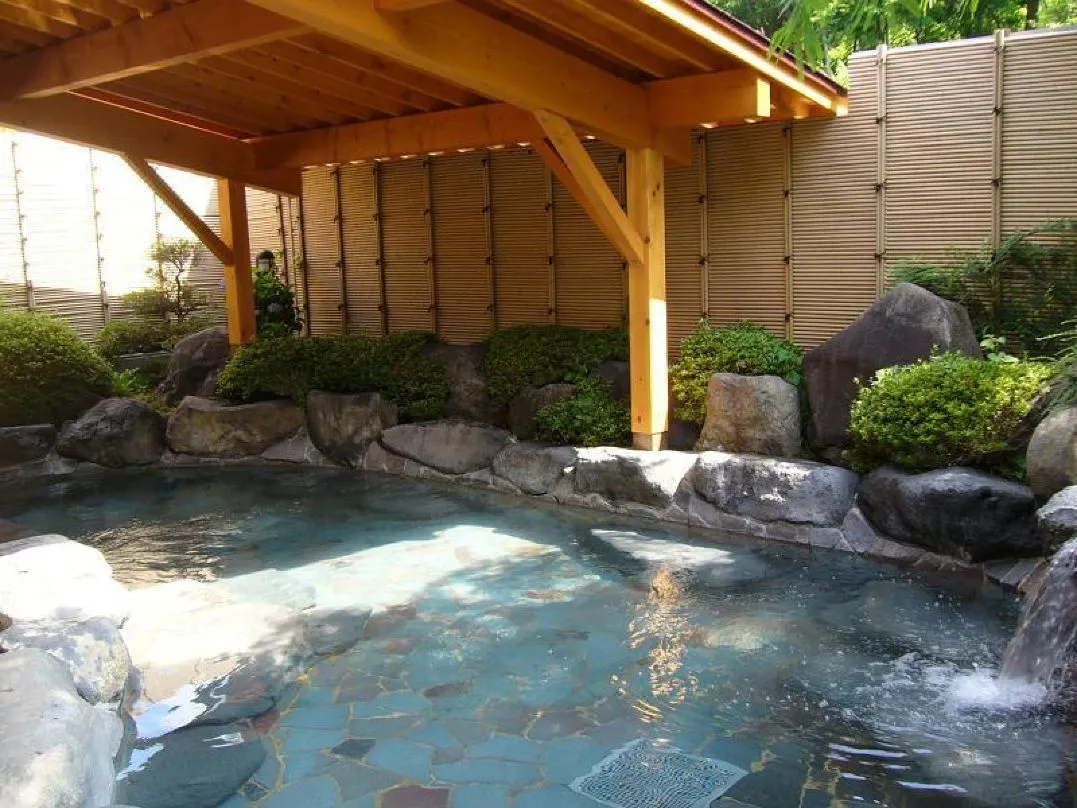 白駒の池周辺のおすすめ温泉宿 ホテル八峯苑鹿の湯