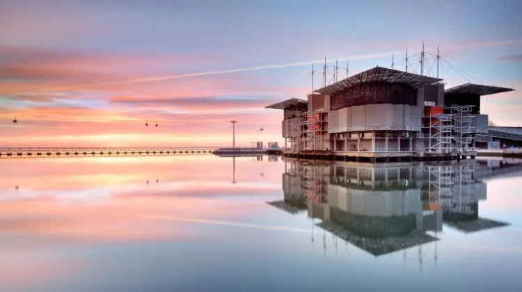 リスボン水族館