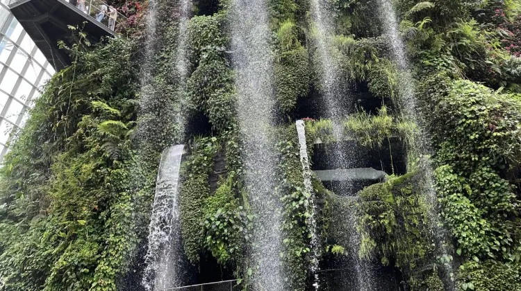 Gardens by the Bay | Things to do in Singapore