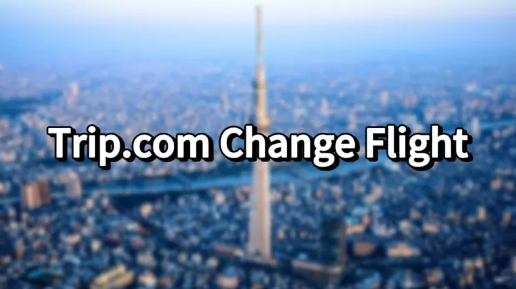 Trip.com Change Flight