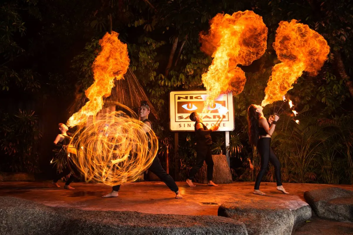 Waktu Terbaik Untuk Mengunjungi Night Safari