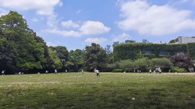 Things to Do at Shanghai Zoo