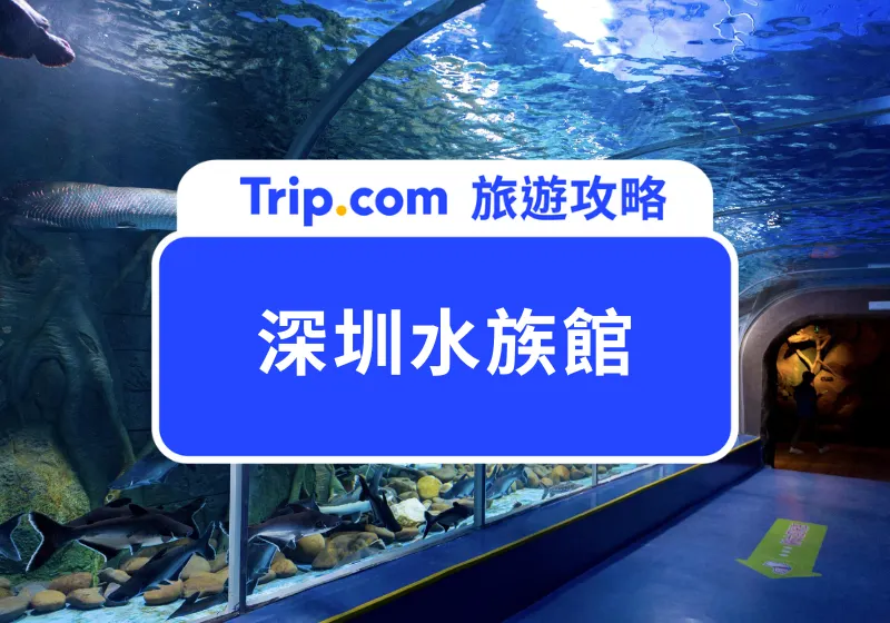 深圳水族館