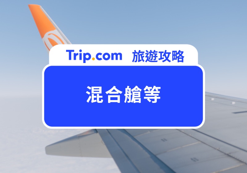 【混合艙等】混合艙等（Mixed Cabin）是什麼？混艙有什麼優缺點？ | Trip.com