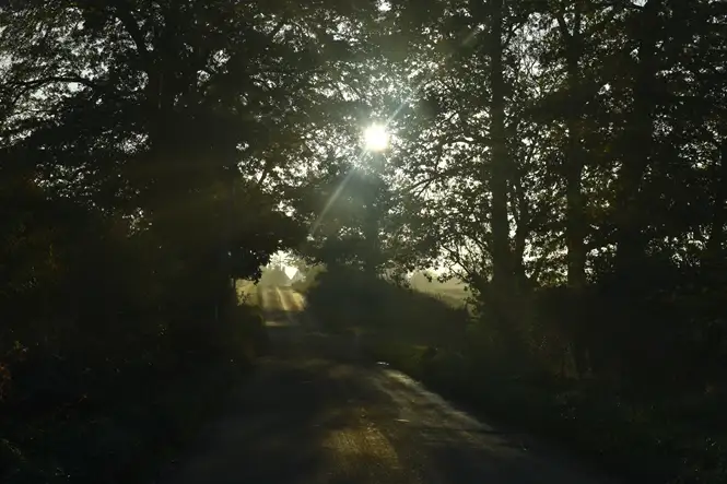 Village sunlight in the springtime. Source: James Homans / unsplash