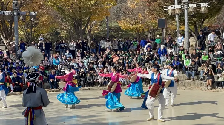 2.迫力ある日替わり公演