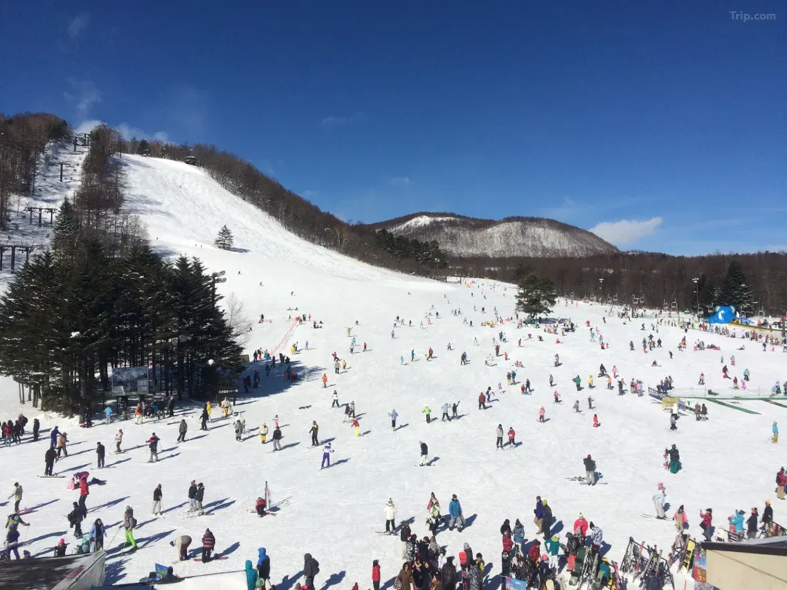 草津現代度假酒店