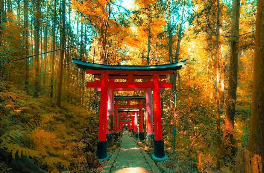 Fushimi Inari Taisha, Kyōto-shi, Japan. Nguồn: Jezael Melgoza