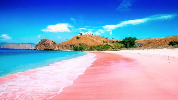 Pantai Merah, Komodo Island, Indonesia (Southeast Asia)
