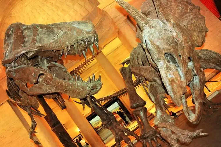 Things to Do in Los Angeles- Discover Dinosaurs at the Natural History Museum
