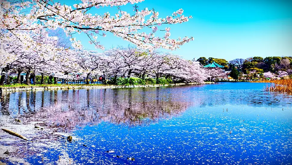 上野恩賜公園