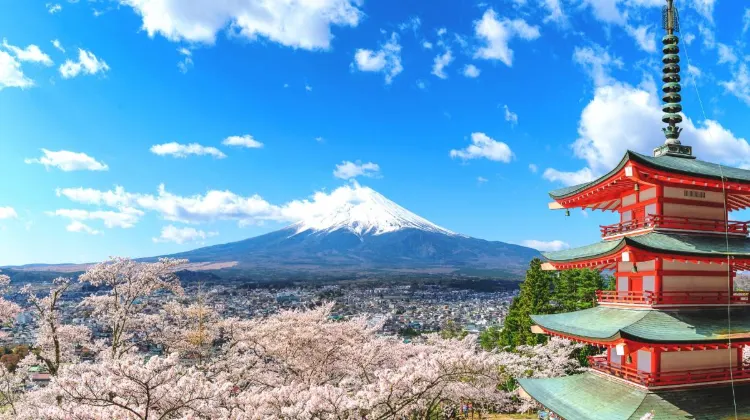 Top 20 Attractions for Japan Vacation