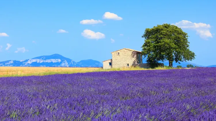 エクサン・プロバンス(Aix-en-Provence)