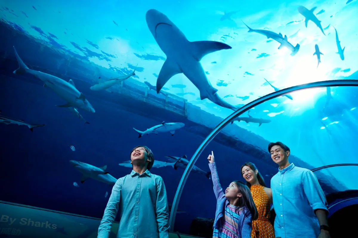 S.E.A. Aquarium	