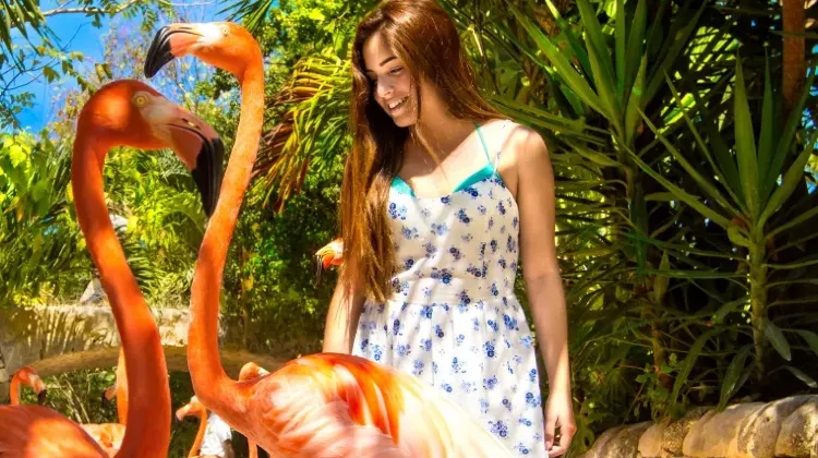 「センスがいい」と言われるメキシコお土産の選び方