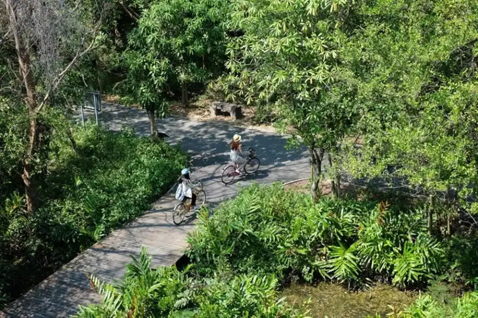 Trying out the cycle paths at Bang Krachao