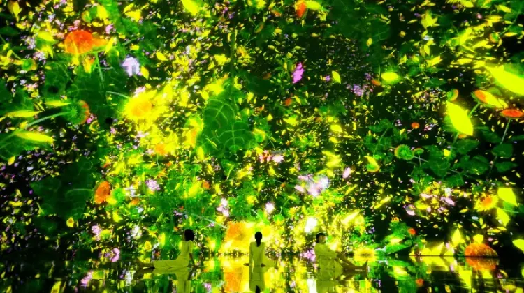 Top 20 Best Things to Do in Tokyo