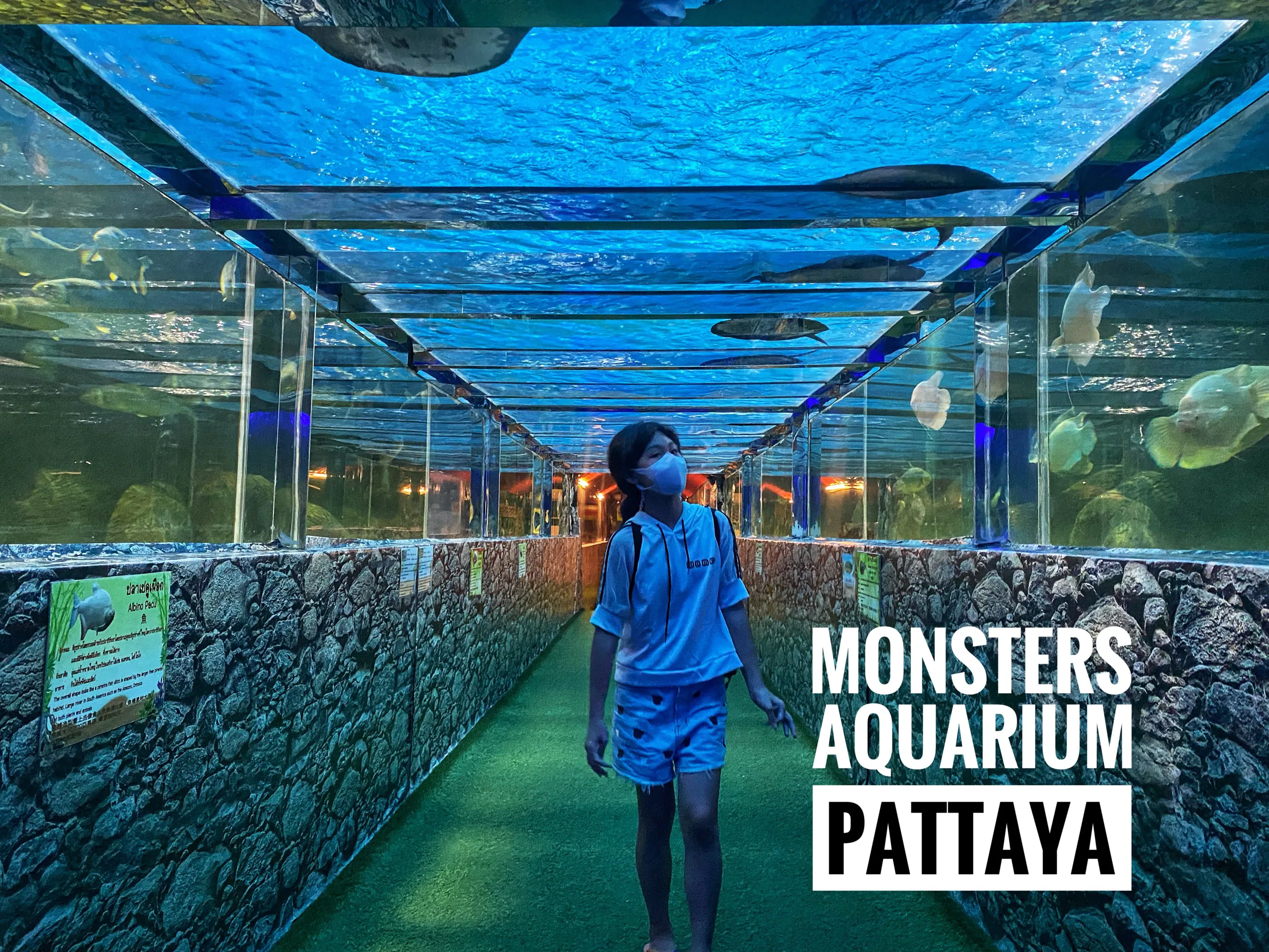 Monster aquarium pattaya (มอนสเตอร์อควาเรี่ยม พัทยา)