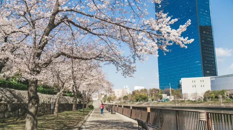 大阪のお土産選びで気を付けたい3つのこと
